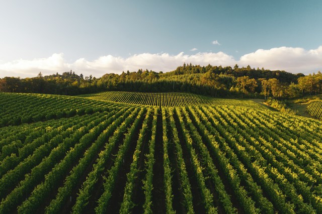 Pennsylvania Invests $9.1 Million to Permanently Preserve 2,565 Acres of Farmland