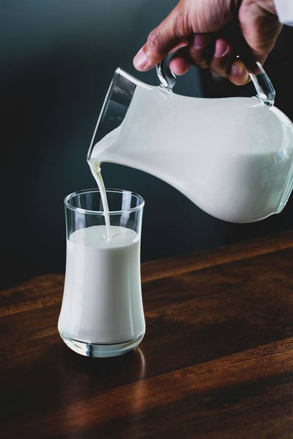 dairy farm investments