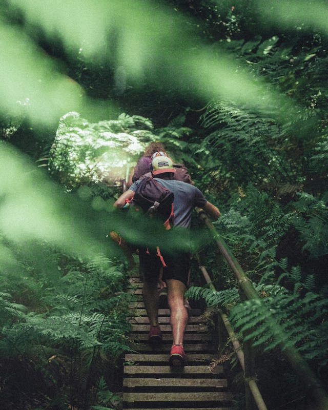NEPA hiking trails 